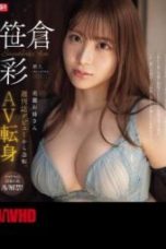 SONE-740 Pendatang Baru NO.1 STYLE Wanita Cantik – Sasakura Aya